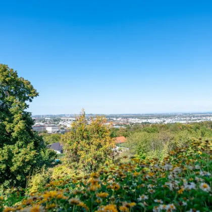 Rarität in elitärer Villenlage: Fernblick über Mödling und Wien - Bild 2