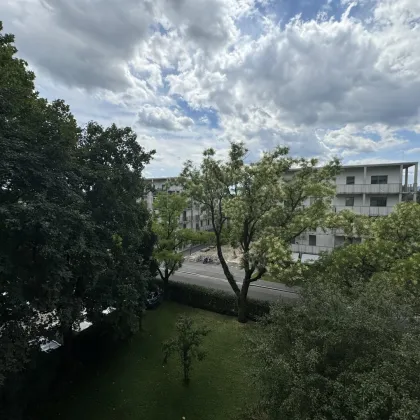 3,5 Zimmerwohnung mit Loggia in St. Peter. Otto-Loewi-Gasse. Sanierungsbedürftig! - Bild 3