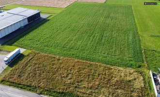 BAURECHT: Gewerbegrundstück mit knapp 32.000 m² in optimaler Verkehrslage +++ Spielberg +++