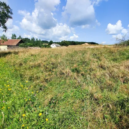 Ihr Platz für ein Traumhaus. - Naturnahes nur 15 Min. vor Wels. - Bild 2