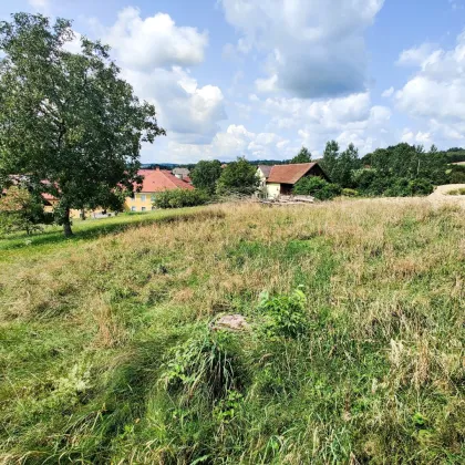 Ihr Platz für ein Traumhaus. - Naturnahes nur 15 Min. vor Wels. - Bild 3