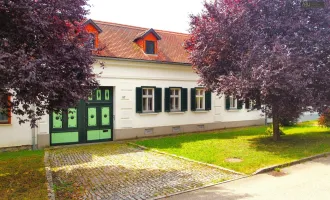 **Exklusives Haus in beliebter Weinregion im Südburgenland - mit 4 separat begehbaren Wohneinheiten**