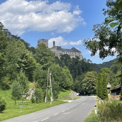 BEZAUBERNDES ANWESEN AM WALDESRAND - BURG FINKENSTEIN - Bild 3