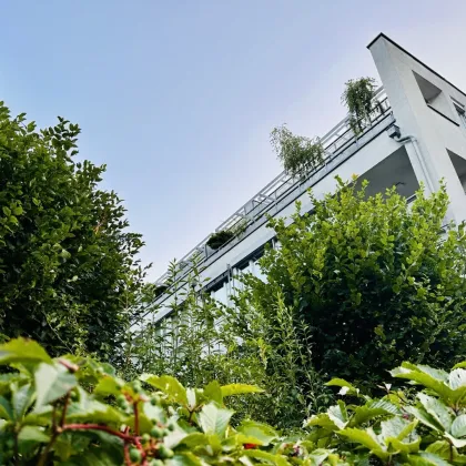 Einzigartige Maisonette-Wohnung im Herzen des 17. Bezirk - Bild 2