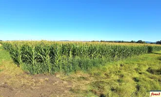 BIETERVERFAHREN - Acker ca. 1,7 ha in der Gemeinde Langenrohr - Nähe Rust im Tullnerfeld - zu kaufen