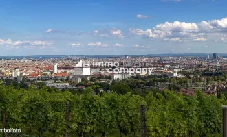 Einmaliges Grundstück an einer der besten Adressen in Döbling - traumhafter Wienblick