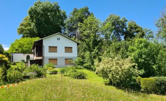 Sehr großes, wunderschönes Grundstück mit älterem  Wohnhaus  in guter Thalheimer Lage  - fairer Preis