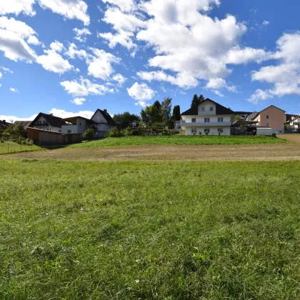 Ihr Traum vom Eigenheim: Baugrundstück in Bad Gams mit sonniger Südausrichtung & alle Anschlüsse an der Grundstücksgrenze vorhanden & ruhige Wohnlage! - Bild 2