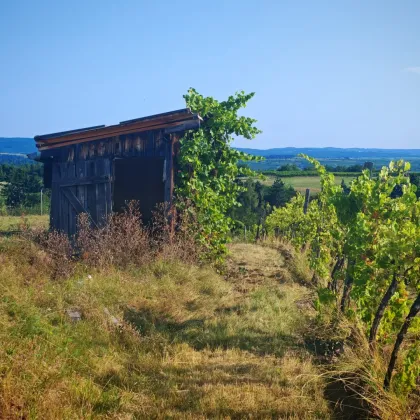 Freizeitgrundstücke in herrlicher Sonnenlage - KEIN BAULAND! - Bild 3