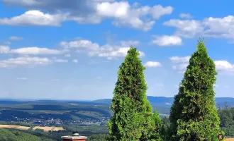 Nähe Kirchschlag: Ein- Zweifamilienhaus in schöner Aussichtslage!