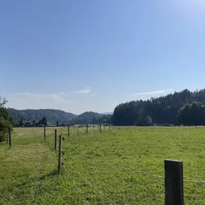 Paradies für Pferde und Naturliebhaber - Bild 2