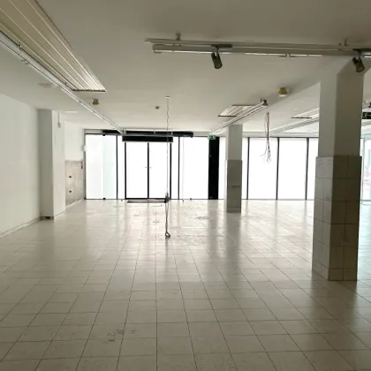 850m2, top barrierefreie, ebenerdige Gewerbefläche in Linz zu vermieten (Auch Büros im OG verfügbar) - Bild 3