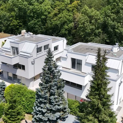 Provisionsfreier Erstbezug direkt vom Bauträger - Hochwertige Doppelhaushälfte mit Wienerwaldblick - Bild 3