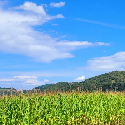 1428 m² vollerschlossenes Bauland in Großklein/Kleinklein - Perfekt für Ihr Eigenheim! - Bild 3