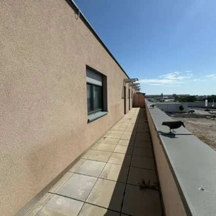 4 Zimmer Dachterrassentraum mit Kaufoption - ab sofort verfügbar! 3_34 - Bild 2