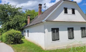 Burgenländischer Streckhof mit viel Potential - 1679 m² Grundstück BW in Kemeten!