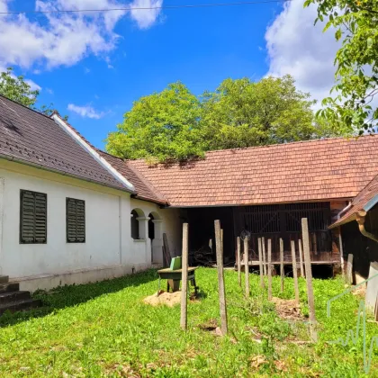 Burgenländischer Streckhof mit viel Potential - 1679 m² Grundstück BW in Kemeten! - Bild 2