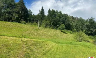 K3 - Baugrundstück - auch teilbar - mit Bergpanorama 15 Minuten nach Klagenfurt