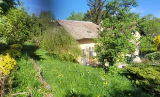 Idyllisches Häuschen direkt am Wald