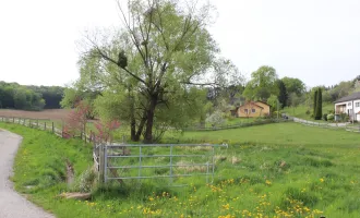 Neustift bei Güssing: Baugrundstück (BD) in sehr schöner Lage