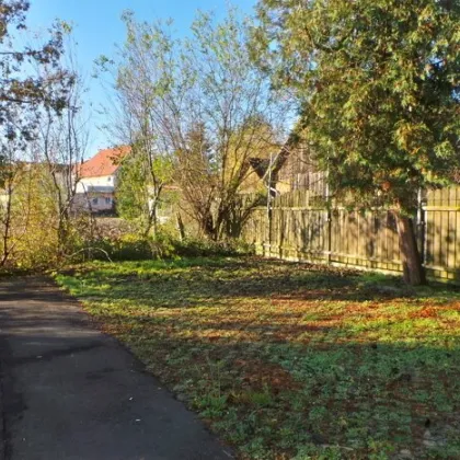 Stadtrandlage mit Grünblick,günstige 3ZI mit Parkplatz, AllgGarten - Bild 3