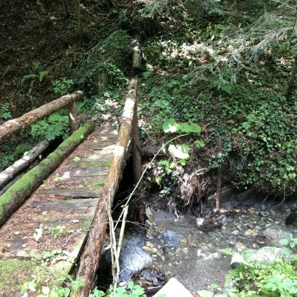 Freizeitgrundstück  5683 m²  Wald und Wiese im LUFTKURORT St. RADEGUND- Nähe Reha *** - Bild 2