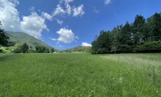 Traumhaftes Baugrundstück für Naturliebhaber !!!