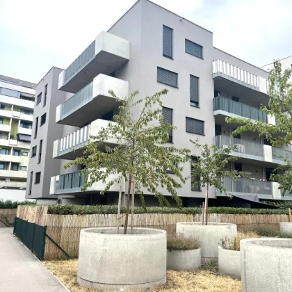 Helle und gut geschnittene Zwei-Zimmer Wohnung mit großzügigem Balkon - Bild 2