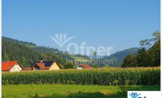 Gut bearbeitbares Ackergrundstück in Bärnbach