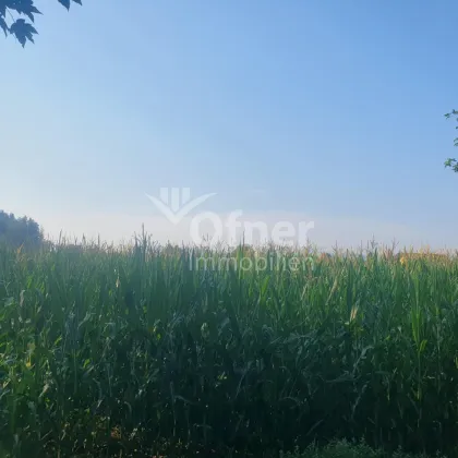 Gut bearbeitbares Ackergrundstück in Bärnbach - Bild 2