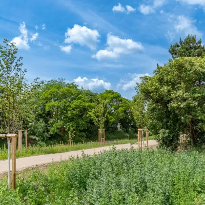 Neu saniert: Entzückende 2-Zimmerwohnung im Grünen am Liesingbach - Bild 2