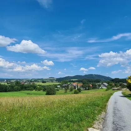 Großzügiges Landhaus in St. Georgen am Attersee zu kaufen! - Bild 3