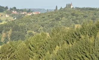 ++TRAUMHAFT SCHÖNE AUSSICHTSLAGE++IDYLLISCH gelegene KLEINLANDWIRTSCHAFT++ca, 2,6 Ha SCHEIBENGRUND, mit alten typischen Bauernhaus.