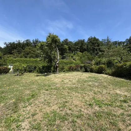 Tolles Kleingarten-Grundstück in absoluter Ruhelage: Eigengrund nähe Michaelerwiese | Pötzleinsdorfer Schlosspark - Bild 2