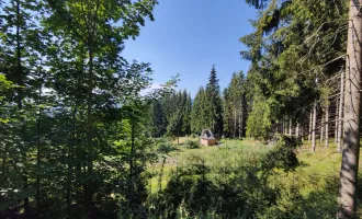 Traumhaftes Baugrundstück mit Fernblick in St. Anna am Lavantegg.