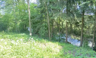 neuer Preis: idyllisches Baugrundstück ohne Bauzwang in Jeging, nahe Lochen am See