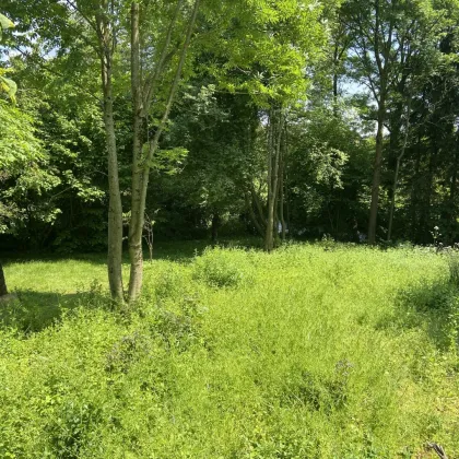 neuer Preis: idyllisches Baugrundstück ohne Bauzwang in Jeging, nahe Lochen am See - Bild 3