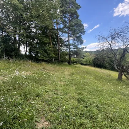 Traumhaftes Baugrundstück in idyllischer Lage von Kirchbach, Niederösterreich - Perfekt für Ihr Eigenheim! - Bild 2