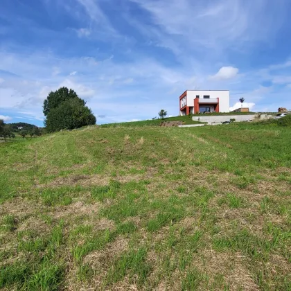 Einfamilienhaus 1.353 m2 Baugrund oder 1-3  Wohneinheiten möglich Pollham - Bild 2