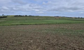 Bauträger Grundstück, aufgeschlossen, in Ortsrandlage mit unverbautem Grünblick, Kauf oder Baurecht auf bis zu 99 Jahre möglich