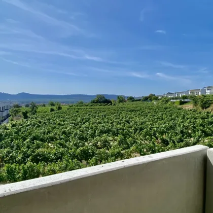 Neubau Erstbezug Schöne Drei Zimmer Wohnung mit Balkon und Süd-Ost Fernblick - Bild 3