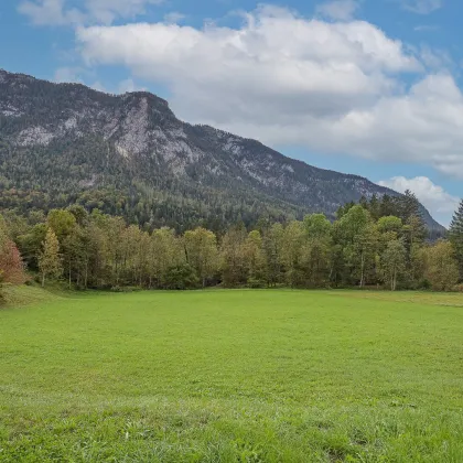 Unken: 1050 m2 Baugrundstück inmitten der Natur - Bild 2