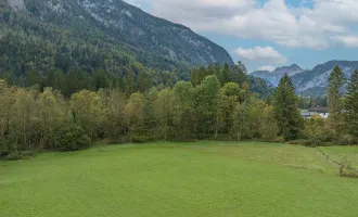 Unken: 1050 m2 Baugrundstück inmitten der Natur