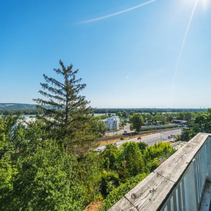 Exklusives Einfamilienhaus in Hanglage mit traumhaftem Blick auf die Donau - Bild 3