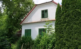 Grundstück mit Altbestand Nähe Therme Stegersbach