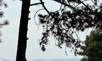 Bauland mit Weitblick! bis zu 2 Wohneinheiten möglich - ABSOLUTE RUHELAGE!