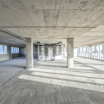 Erstbezug! Modernes Bürohaus in Wiener Neudorf - Bild 3