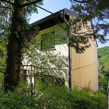 Reihenhaus an der Stadtgrenze mit Eigengarten, Garagenplatz und riesigem Gemeinschaftsgarten - Bild 3