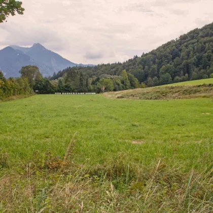 Bauernhof Gebiet Chiemsee - ca. 10 Hektar Wiese und ca. 2 Hektar Wald - Bild 2