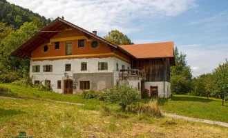 Bauernhof Gebiet Chiemsee - ca. 10 Hektar Wiese und ca. 2 Hektar Wald